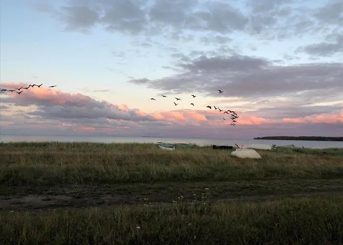40314-juelsminde-asbo-14 * Sonderby (Midtjylland)